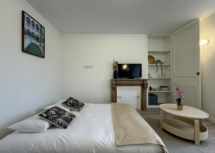 Les Lys Bleus - 4pers - Reve Au Mans Apartment